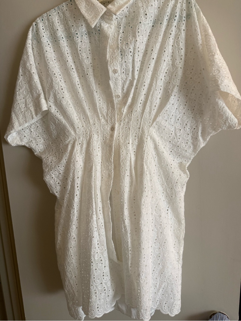 White Eyelet Button-Down Shirt Dress purchased at Anthropologie